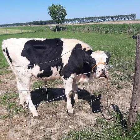 Casa Davina Bed & Breakfast