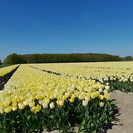 Bed & Breakfast Casa Davina